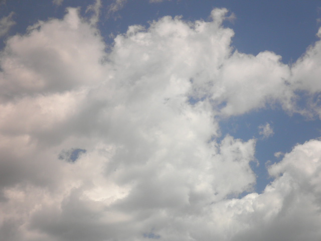 d0181461_4505733.jpg
