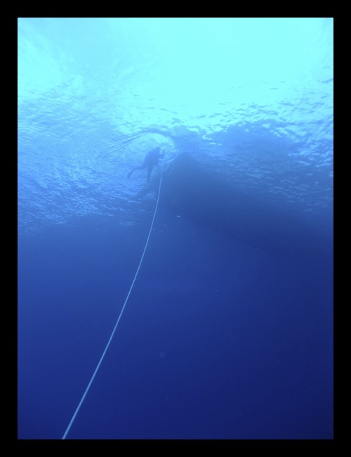 b0062363_22171446.jpg