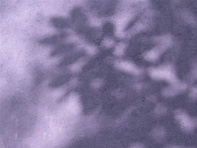 a0123465_22371117.jpg