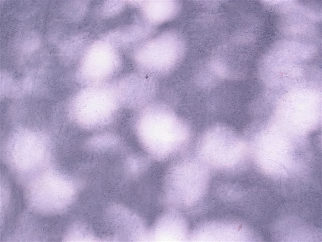 a0123465_2237139.jpg