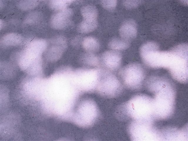 a0123465_22372022.jpg