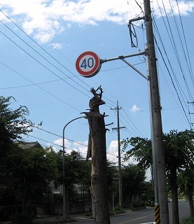 e0041168_10202466.jpg