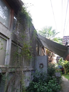 c0192970_88476.jpg
