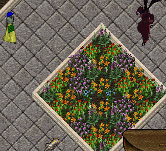 b0190672_20414081.gif
