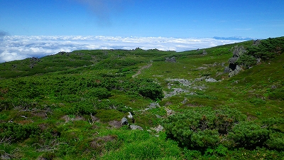 f0182173_914552.jpg
