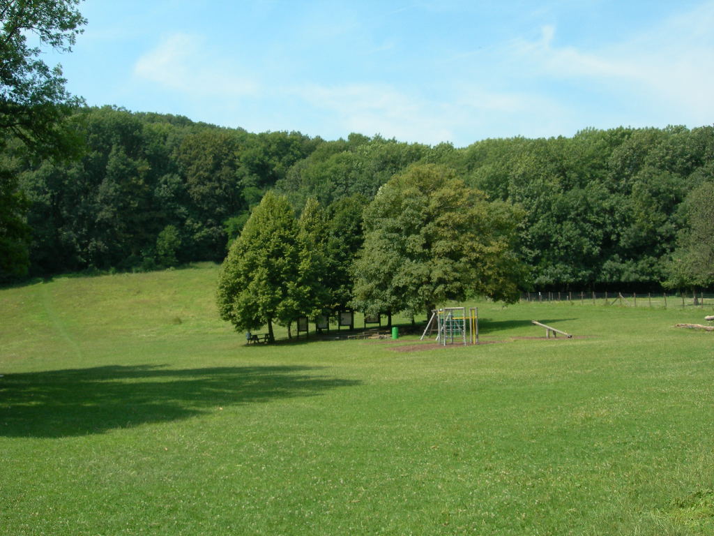 a0080183_4263265.jpg