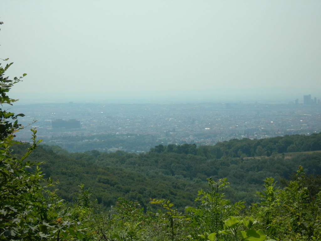 a0080183_4273450.jpg