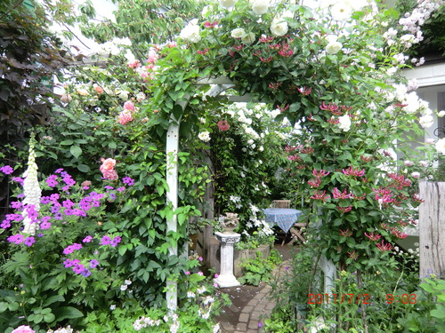 c0078586_22444423.jpg