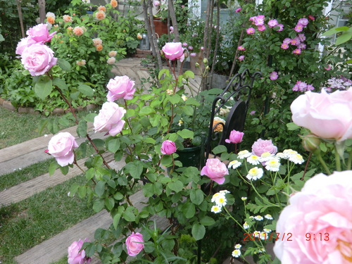 c0078586_22514933.jpg