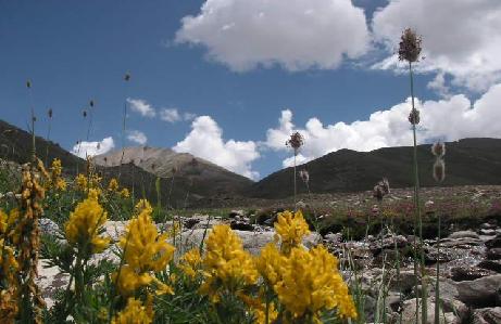 e0044187_1822653.jpg