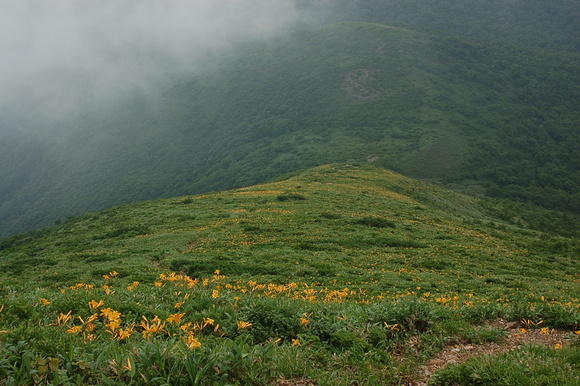 b0203588_1818887.jpg