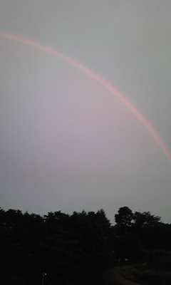 e0100589_0574069.jpg