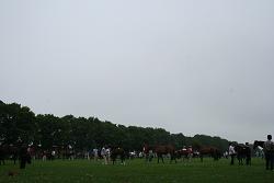 f0069890_19452473.jpg