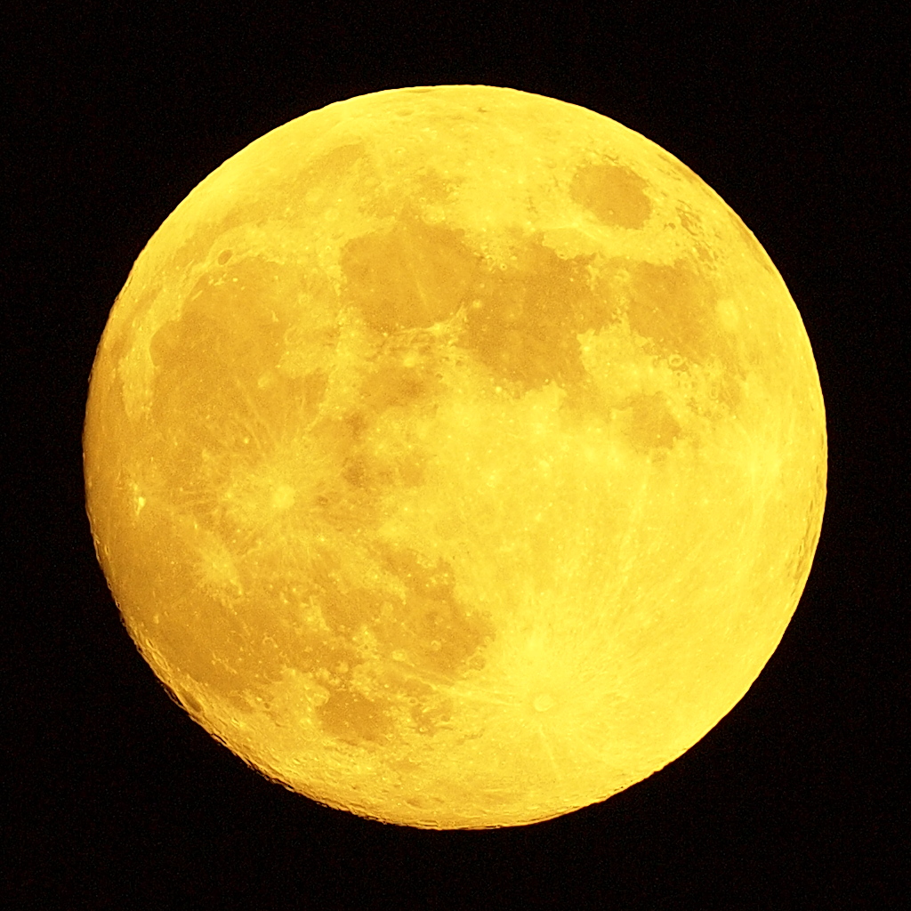 a0133692_1853772.jpg