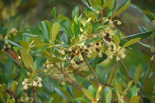 f0222692_14524055.jpg