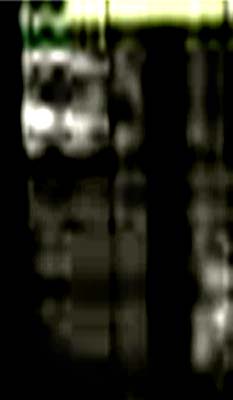e0103408_14395470.jpg