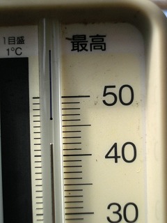 c0190010_1614498.jpg