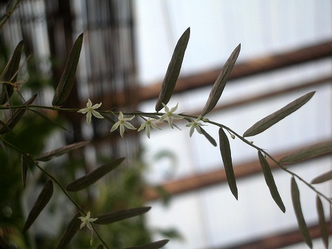 c0190010_1681343.jpg