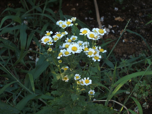 b0208811_2265899.jpg