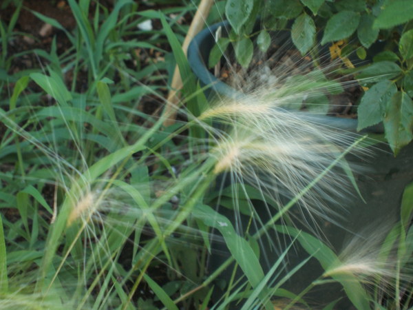 b0208811_228450.jpg