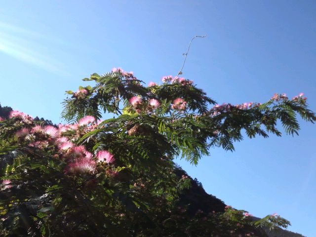 c0146714_165923100.jpg