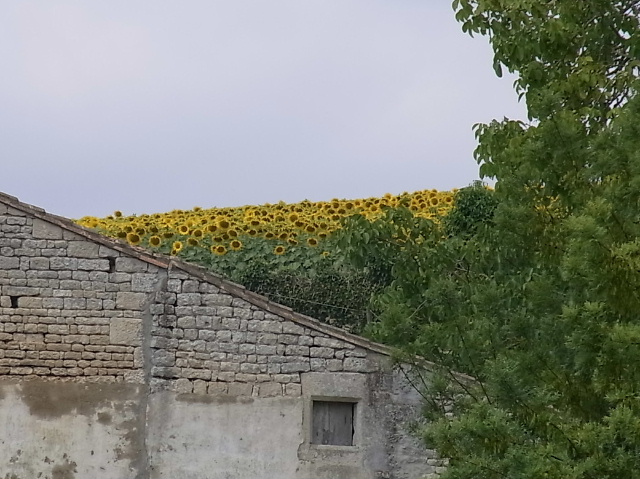 b0070127_22394086.jpg