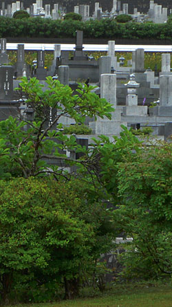 a0046429_22572060.jpg