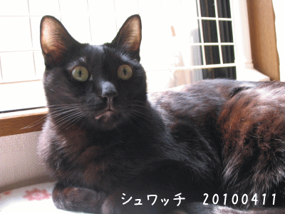 a0166338_19464780.gif
