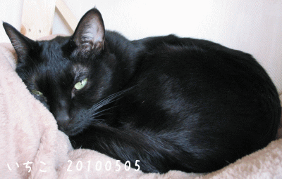a0166338_1949761.gif