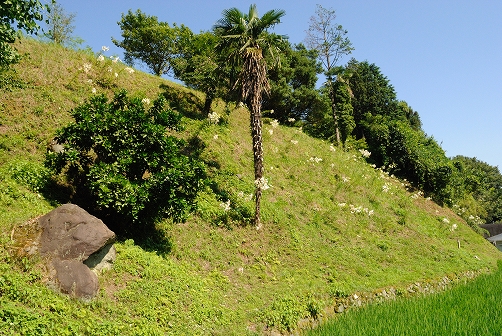 a0048040_2230855.jpg