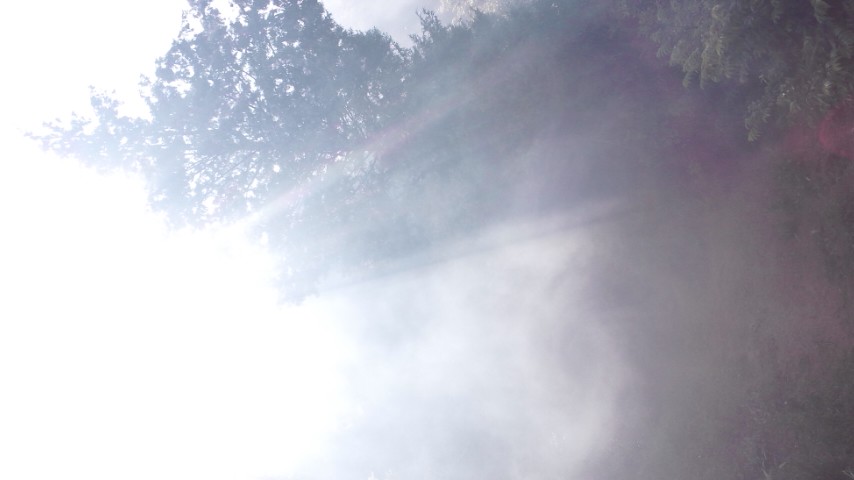 a0044046_21373134.jpg