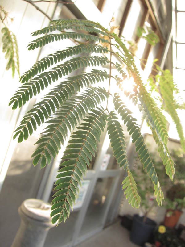 f0220152_18204057.jpg