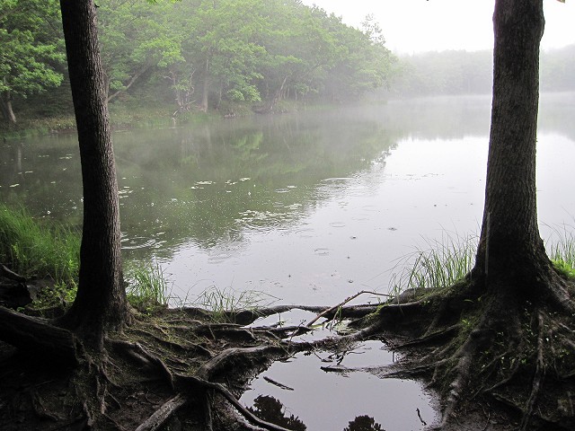 d0031853_3422739.jpg