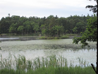 d0031853_4232262.jpg