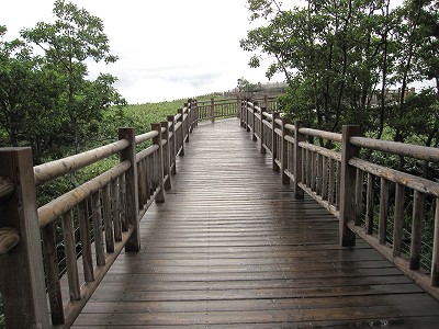 d0031853_4272336.jpg
