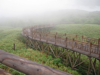 d0031853_4281460.jpg