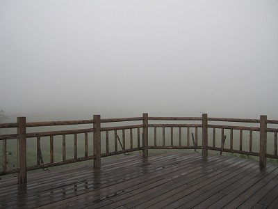 d0031853_4285168.jpg