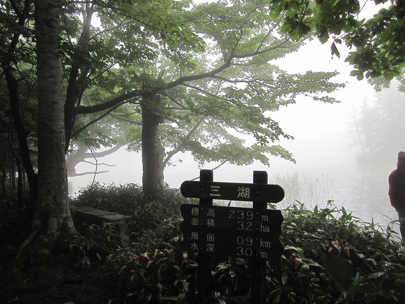 d0031853_495450.jpg