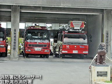 c0167961_341983.jpg