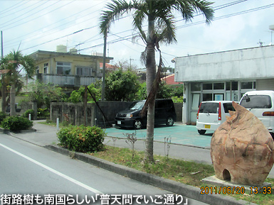 c0167961_355649.jpg