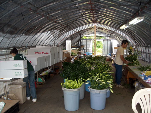 e0097770_1391574.jpg
