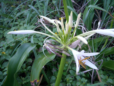 e0097770_239664.jpg