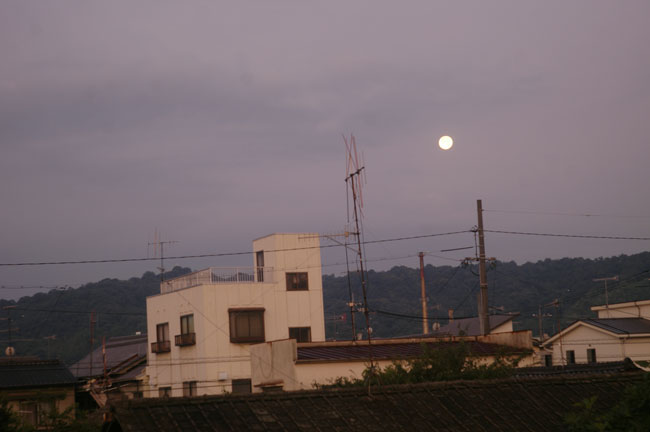 月光