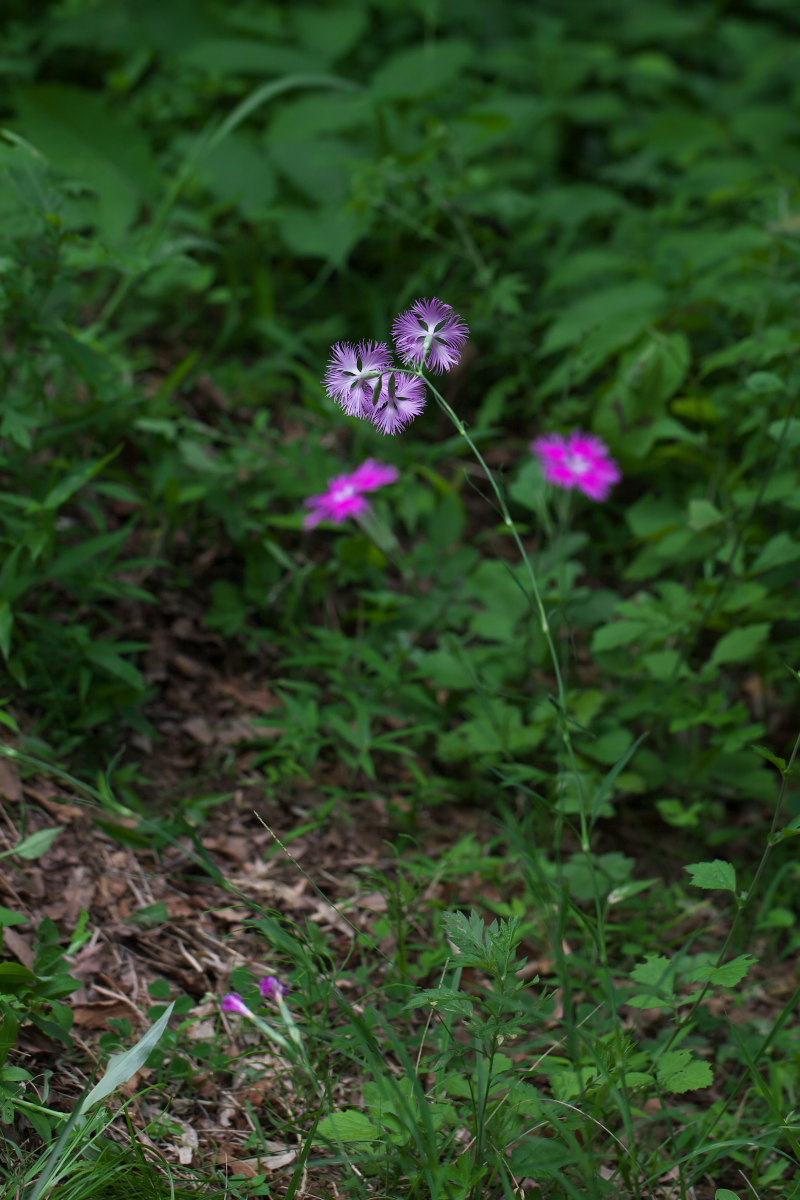 a0083081_17563281.jpg