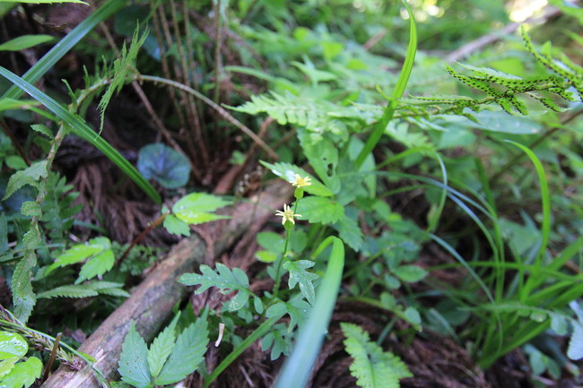 e0024081_20451139.jpg