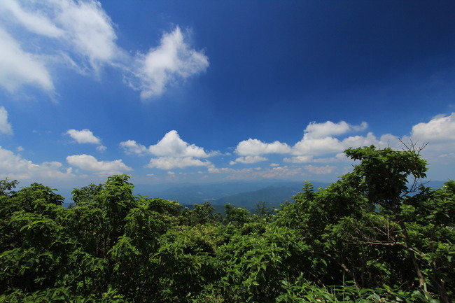 e0024081_20504345.jpg