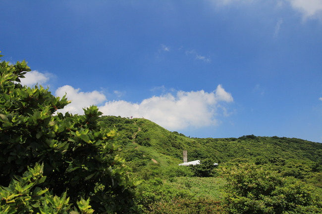 e0024081_2051938.jpg