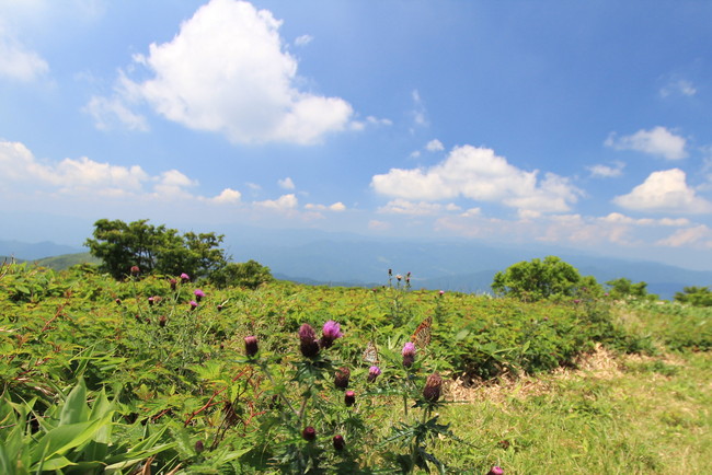 e0024081_20554444.jpg