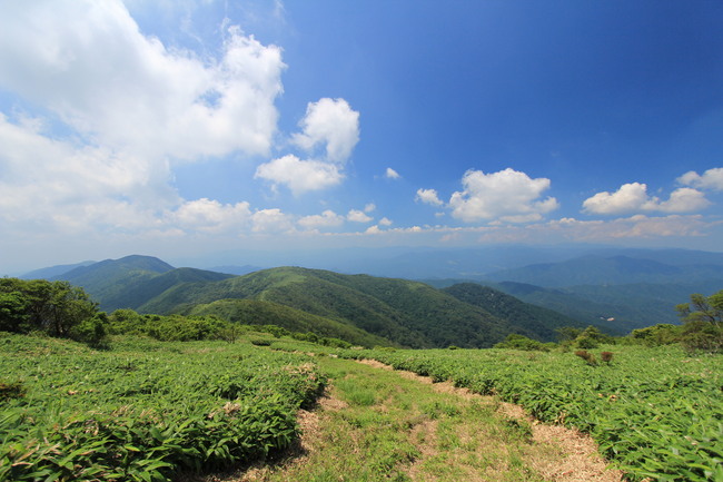 e0024081_2056303.jpg