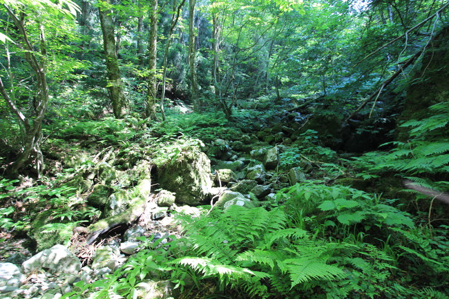 e0024081_20565982.jpg